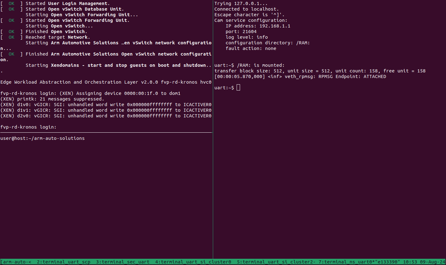 Critical Application Monitoring Demo Reproduce Startup for Virtualization