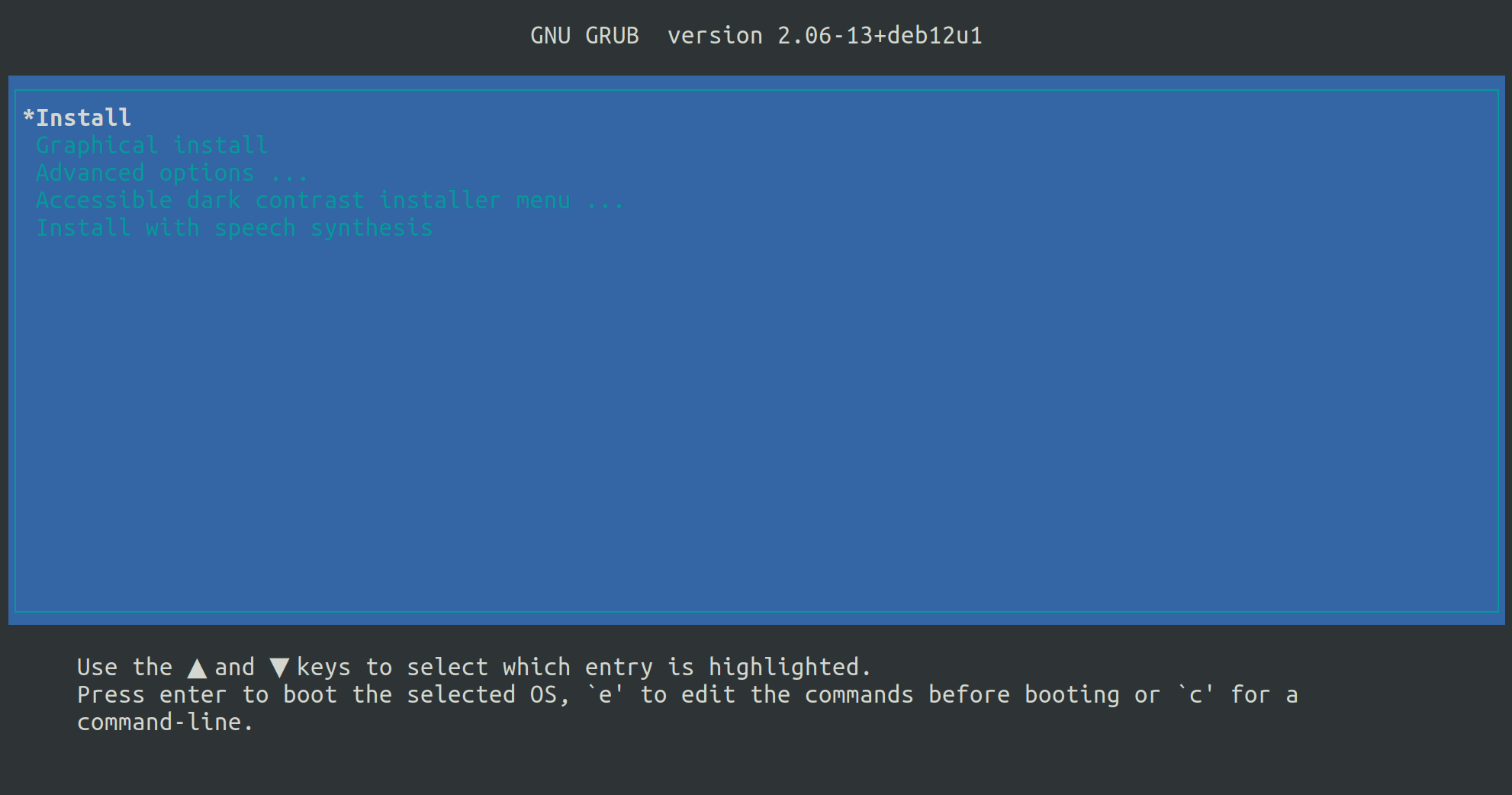 Grub Install Options Menu - Debian Linux Distro Installation